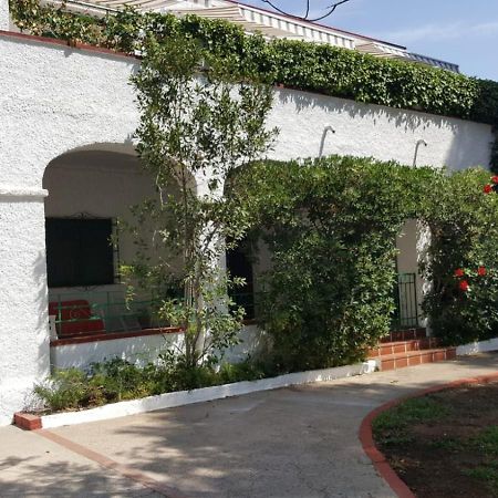 Villa Feli 3 Benicàssim Exterior foto